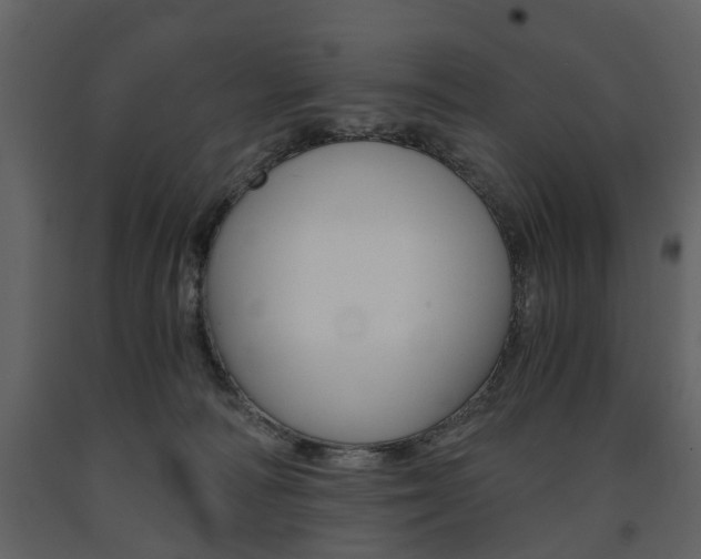 X0000091680226200708231115