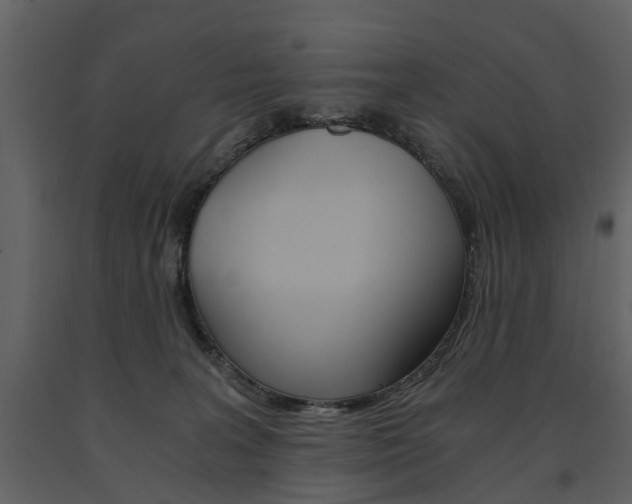 X0000091680227200708231115