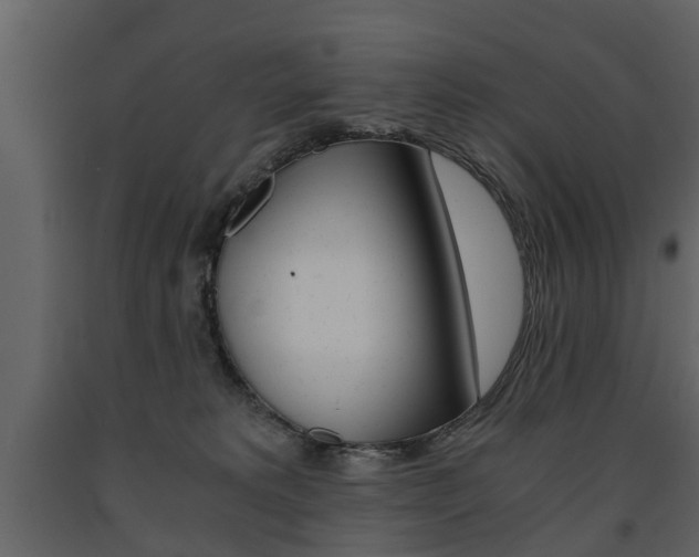 X0000091680229200708231115