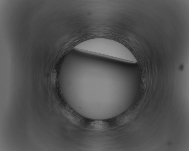 X0000091680231200708231115