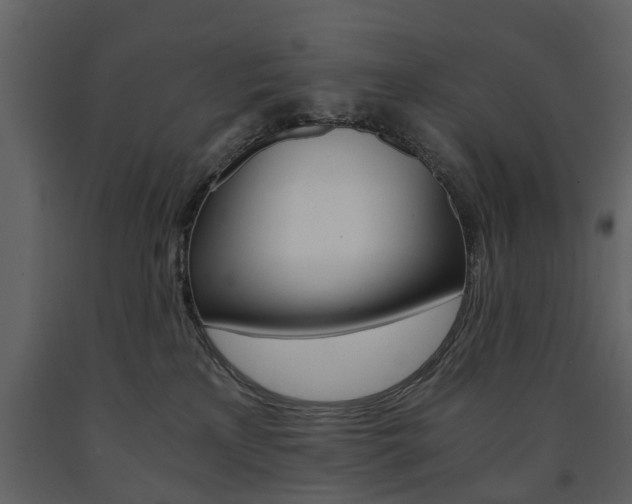 X0000091680233200708231115