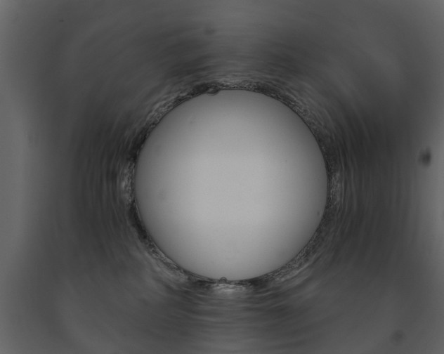 X0000091680234200708231115