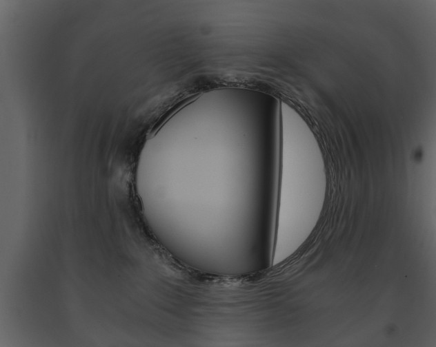 X0000091680235200708231115