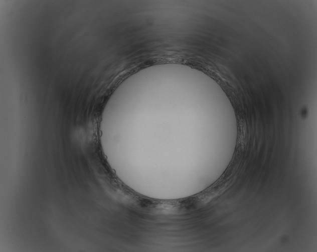 X0000091680236200708231115