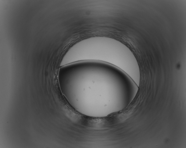 X0000091680237200708231115