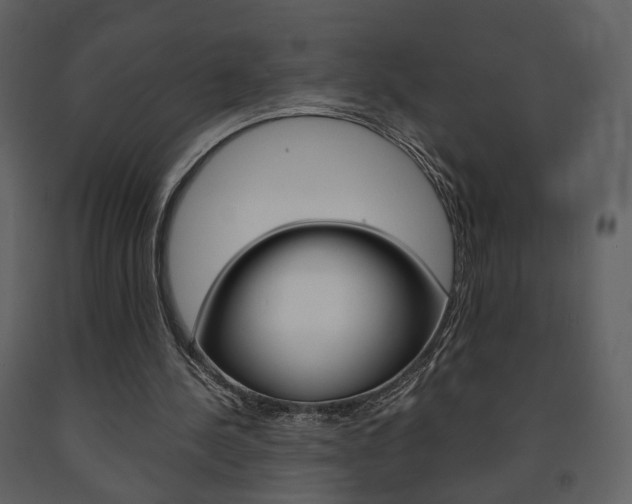X0000091680244200708231114