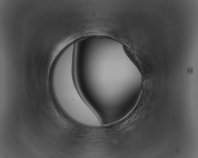 X0000091680248200708231114