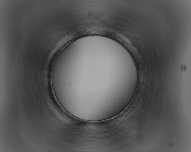 X0000091680250200708231114