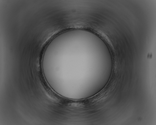 X0000091680251200708231114