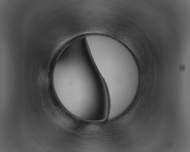 X0000091680252200708231114