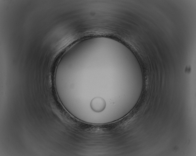 X0000091680254200708231114
