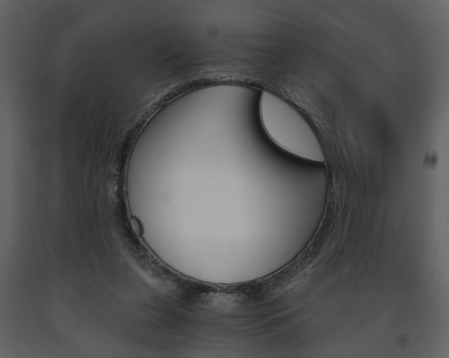 X0000091680255200708231114