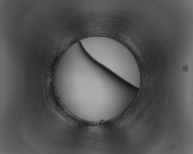 X0000091680259200708231114