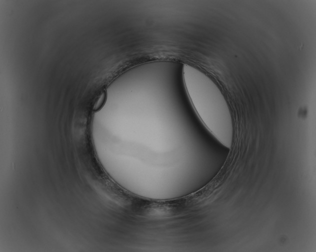 X0000091680263200708231114