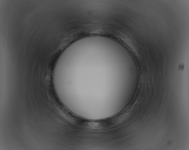 X0000091680265200708231114