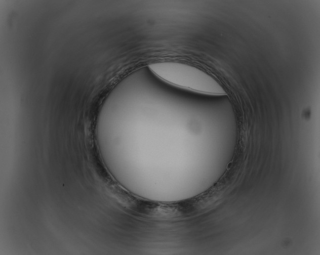 X0000091680270200708231114