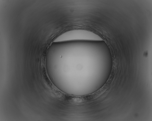 X0000091680272200708231115