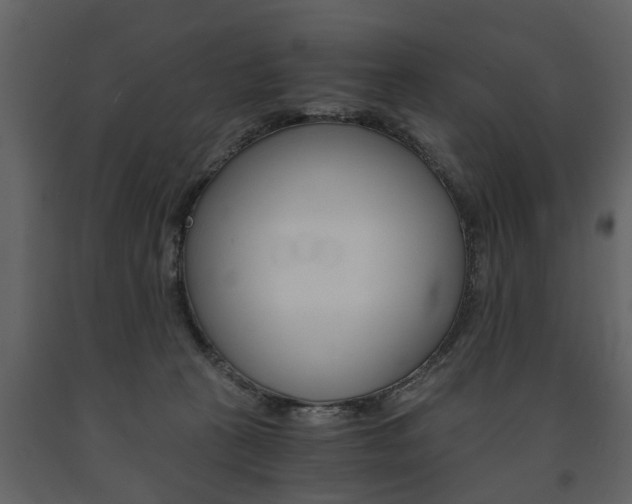 X0000091680273200708231115