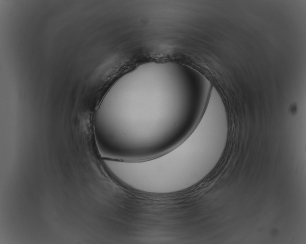 X0000091680280200708231115