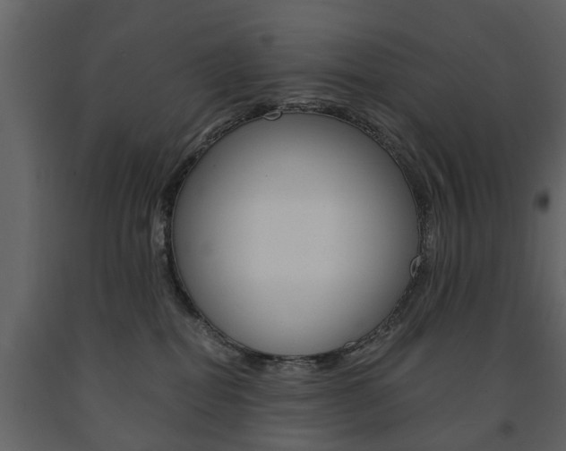 X0000091680282200708231115