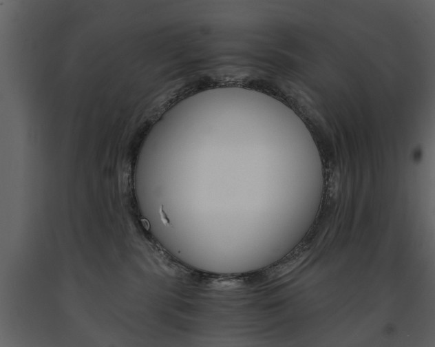 X0000091680283200708231115