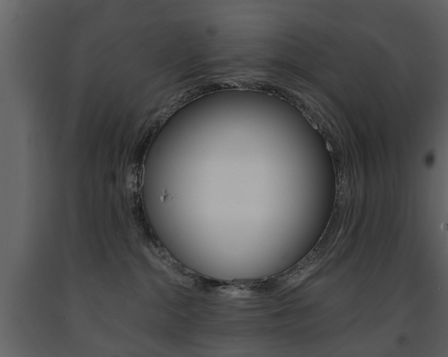 X0000091680284200708231115