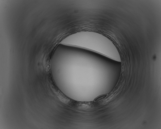 X0000091680285200708231115