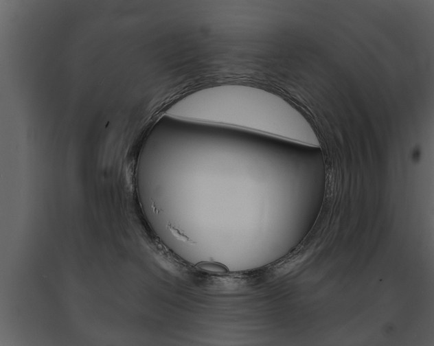 X0000091680286200708231115