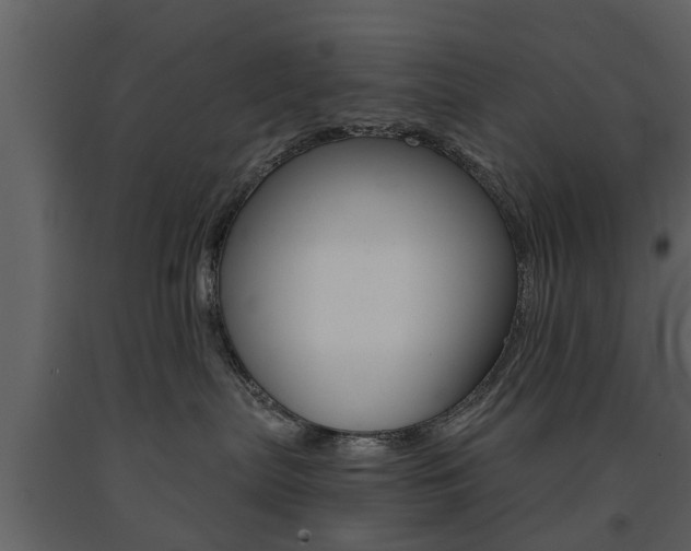 X0000091680287200708231115