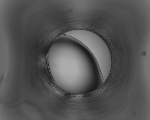 X0000091680288200708231115
