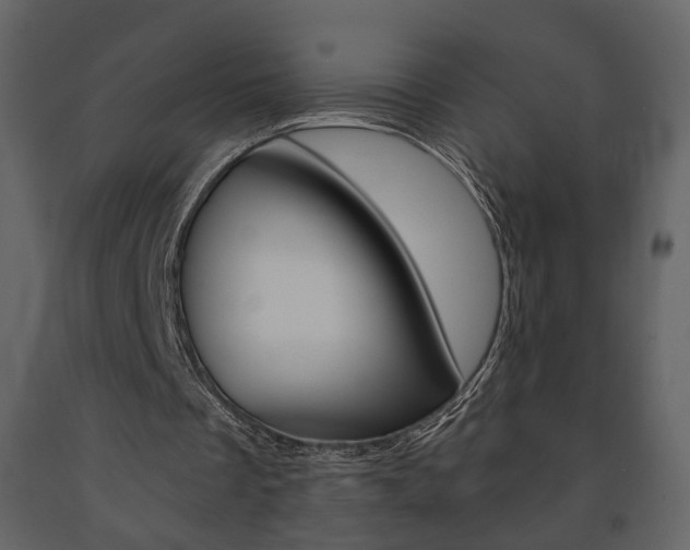 X0000091680289200708231114