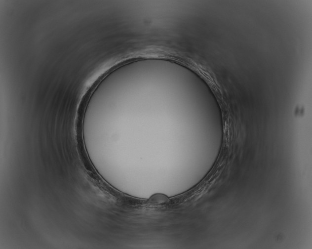 X0000091680292200708231114