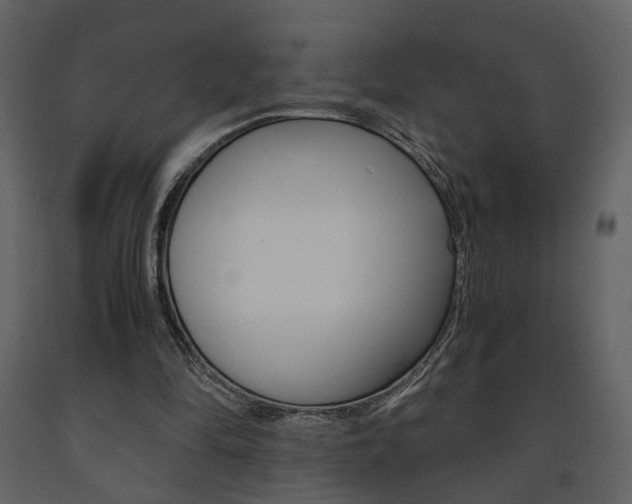 X0000091680294200708231114