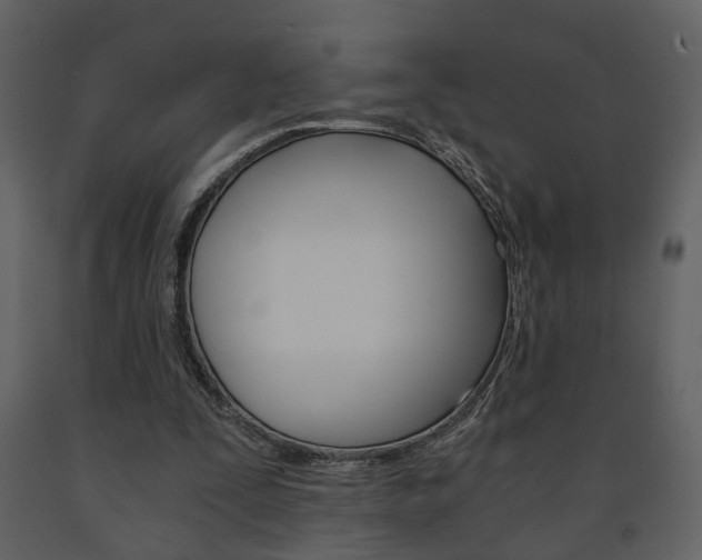 X0000091680295200708231114