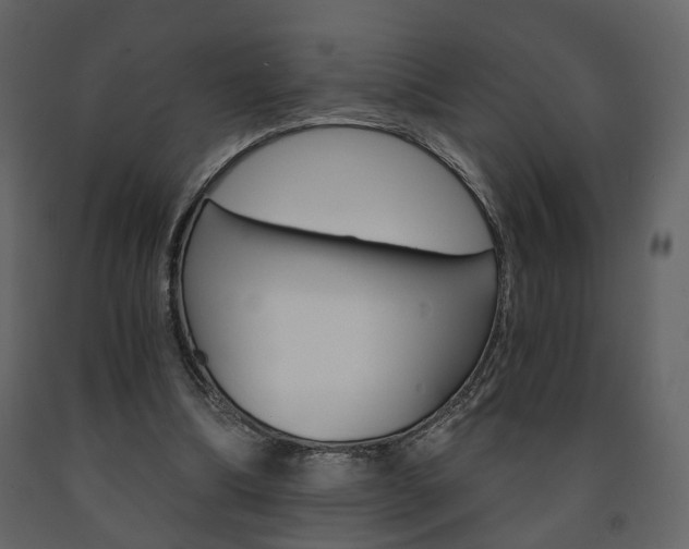X0000091680298200708231114