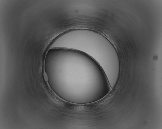 X0000091680301200708231114
