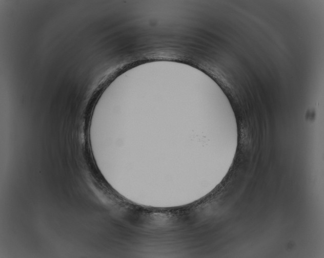 X0000091680302200708231114