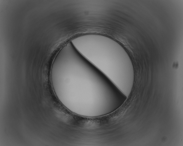 X0000091680303200708231114