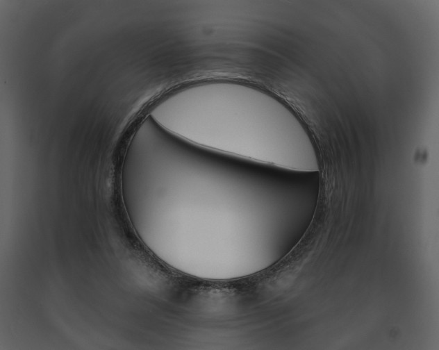X0000091680304200708231114