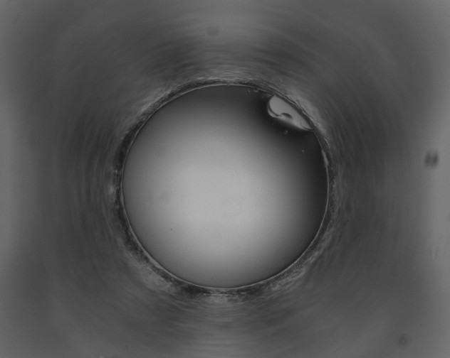 X0000091680305200708231114
