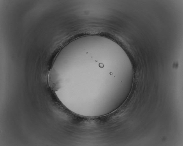 X0000091680307200708231114