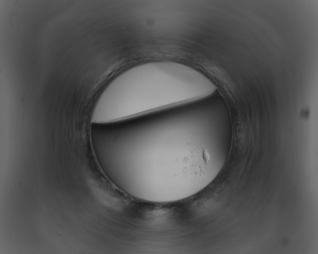 X0000091680312200708231114