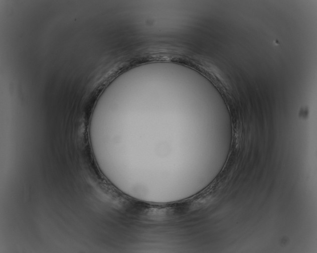 X0000091680314200708231114