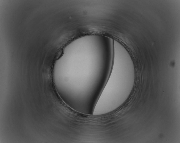 X0000091680317200708231114