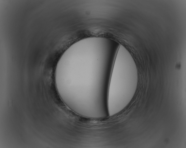X0000091680319200708231113