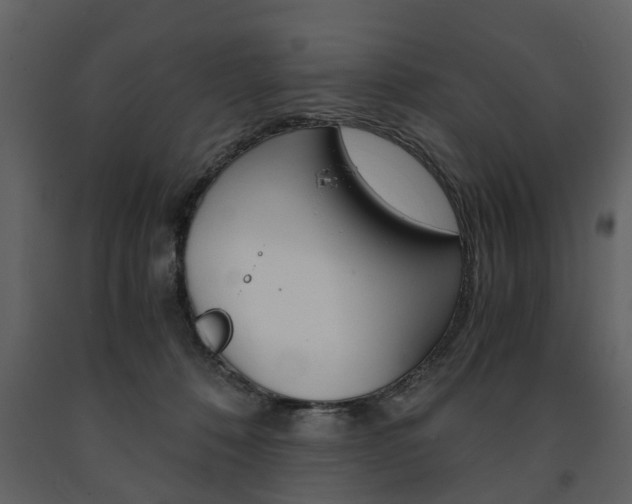 X0000091680320200708231113