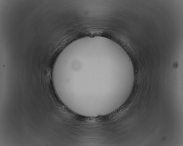 X0000091680321200708231113