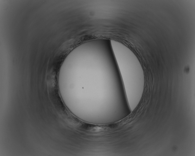 X0000091680323200708231113