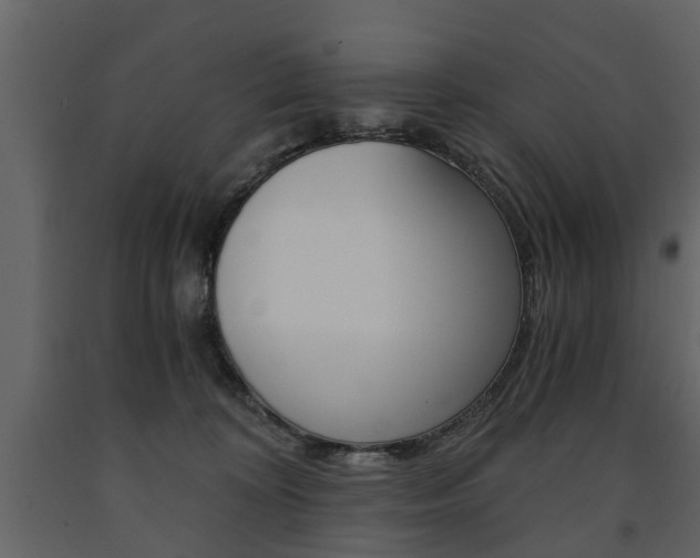 X0000091680324200708231113