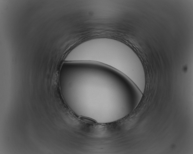 X0000091680325200708231113